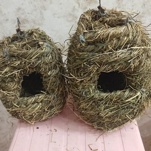 لانه طبیعی دو مدل